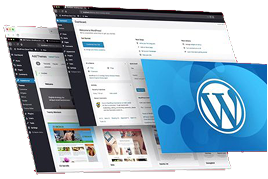 CMS Website